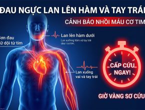 Dấu Hiệu Nhồi Máu Cơ Tim Điển Hình: Nhận Biết Sớm Để Cứu Lấy “Giờ Vàng”