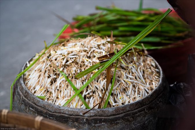 Người Bệnh Tiểu Đường Ăn Giá Đỗ Thường Xuyên: Lợi Ích Vượt Trội Và 3 Đại Kỵ Cần Tránh