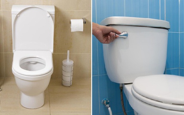 Bồn cầu đóng nắp trước khi xả — thói quen xả nước bồn cầu đúng cách giúp giữ nhà vệ sinh sạch